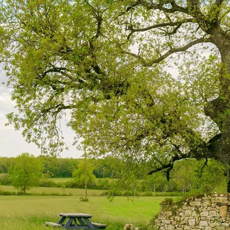 Mamie Yvette Private * Blanc (Dordogne)